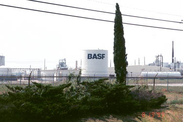 BASF Banvel & J300